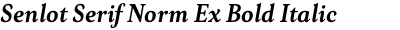 Senlot Serif Norm Ex Bold Italic